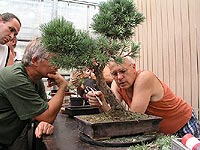 diskuse nad rostlinou
